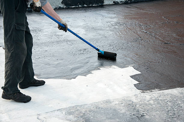 Best Waterproofing & Drywells  in Ashland, VA